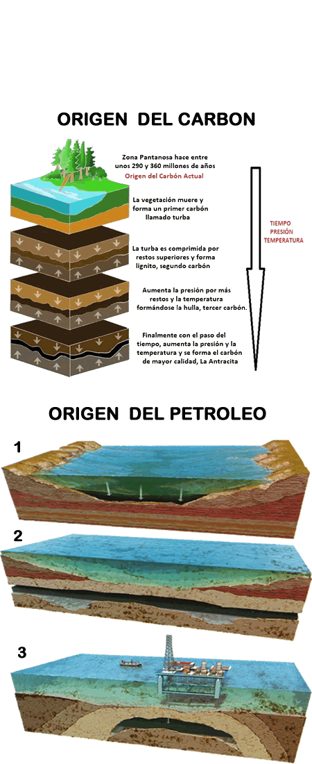 origen del petroleo y del carbon